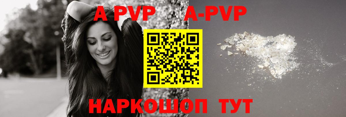 A-PVP СК КРИС Великий Новгород